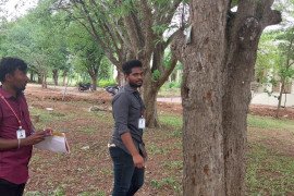 gallery - taxonomic-survey-of-trees-in-college-campus - 3