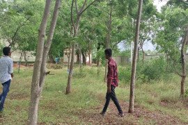 gallery - taxonomic-survey-of-trees-in-college-campus - 2