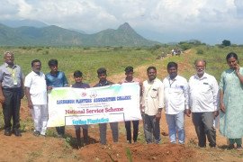 gallery - palm-seeds-plantation-programme - 1