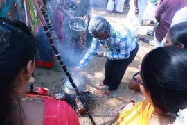 gallery - pongal-sangamam-2026 - 5