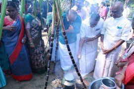 gallery - pongal-sangamam-2026 - 3