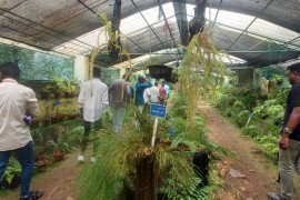 gallery - one-day-industrial-visit-to-jawaharlal-nehru-tropical-botanic-garden-and-research-institute-palode-trivandrum - 10