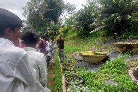 gallery - one-day-industrial-visit-to-jawaharlal-nehru-tropical-botanic-garden-and-research-institute-palode-trivandrum - 17