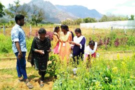 gallery - 2022-23-botany-visits-to-tnau-hcri-periyakulam - 13