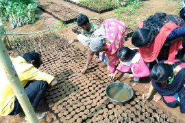 gallery - 2022-23-botany-visits-to-tnau-hcri-periyakulam - 16