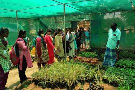 gallery - 2020-21-botany-visits-to-tnau-hcri-periyakulam - 11