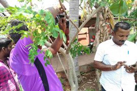 gallery - 2020-21-botany-visits-to-tnau-hcri-periyakulam - 13