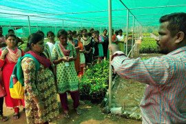 gallery - 2020-21-botany-visits-to-tnau-hcri-periyakulam - 17