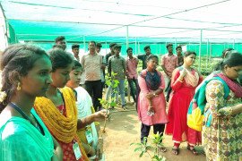 gallery - 2020-21-botany-visits-to-tnau-hcri-periyakulam - 18