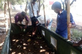 gallery - 2018-19-botany-visits-to-tnau-hcri-periyakulam - 1