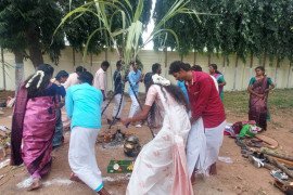 gallery - pongal-celebration - 4