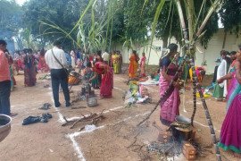 gallery - pongal-celebration - 8