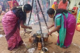 gallery - pongal-celebration - 7