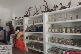 gallery - 6-days-internship-programme-on-edible-mushroom-cultivation-entrepreneurs-skill-development - 11