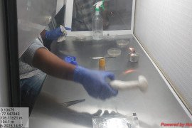 gallery - 6-days-internship-programme-on-edible-mushroom-cultivation-entrepreneurs-skill-development - 8