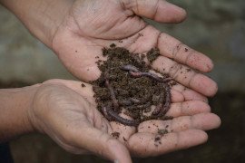 gallery - 2019-2020-unnat-bharath-abhiyan-20 - 12