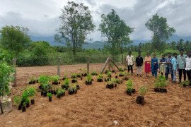 gallery - dept-of-botany-medicinal-garden - 7