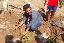 gallery - dept-of-botany-medicinal-garden - 4