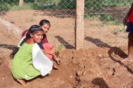 gallery - dept-of-botany-medicinal-garden - 9