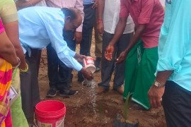 gallery - palm-seeds-plantation-programme - 8