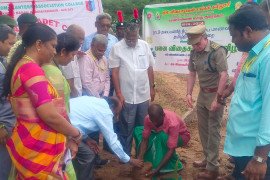 gallery - palm-seeds-plantation-programme - 10