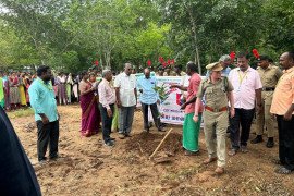 gallery - palm-seeds-plantation-programme - 2