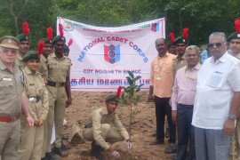 gallery - palm-seeds-plantation-programme - 9