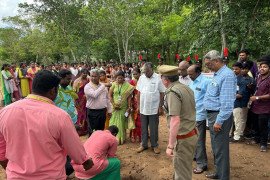 gallery - palm-seeds-plantation-programme - 5