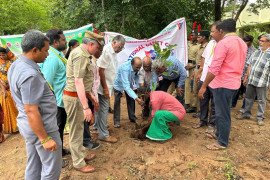 gallery - palm-seeds-plantation-programme - 6