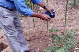 gallery - 2015-16-seminar-on-emerging-trends-in-medicinal-plants-natural-products-etmpnp-organized-by-department-of-botany-on-04th-august-2015 - 14