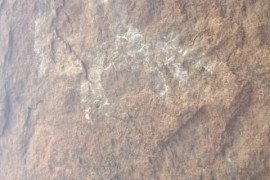 gallery - one-day-feild-work-for-tamil-department-students- - 9