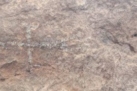 gallery - one-day-feild-work-for-tamil-department-students- - 10