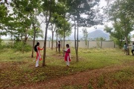 gallery - taxonomic-survey-of-trees-in-college-campus - 1