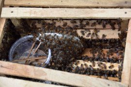 gallery - 2019-2020-uba-activities-in-adopted-villages-20 - 13