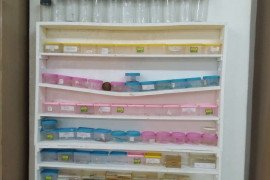 gallery - 2024-25-botany-dept-infrastructure - 15