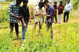 gallery - 2022-23-botany-visits-to-tnau-hcri-periyakulam - 14