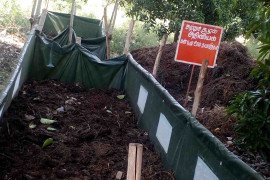 gallery - 2018-19-botany-visits-to-tnau-hcri-periyakulam - 2