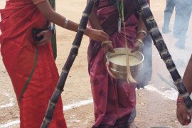 gallery - pongal-celebration - 1