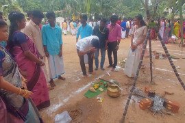 gallery - pongal-celebration - 3