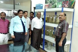 gallery - 2019-20-botany-indian-cardamom-research-institute-icri-myladumpara - 3