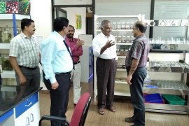 gallery - 2019-20-botany-indian-cardamom-research-institute-icri-myladumpara - 4