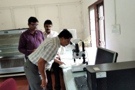 gallery - 2019-20-botany-indian-cardamom-research-institute-icri-myladumpara - 11