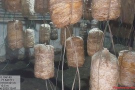 gallery - 6-days-internship-programme-on-edible-mushroom-cultivation-entrepreneurs-skill-development - 9