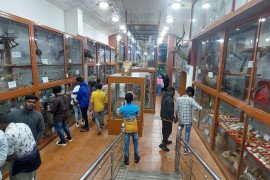 gallery - one-day-field-visit-to-kodaikanal-wildlife-sanctuary - 3