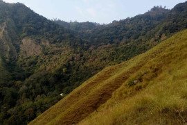 gallery - 2016-17-botany-eco-club-trekking - 3