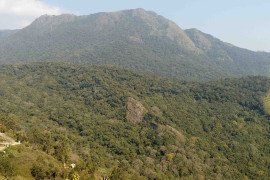 gallery - 2016-17-botany-eco-club-trekking - 11