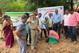 gallery - palm-seeds-plantation-programme - 7