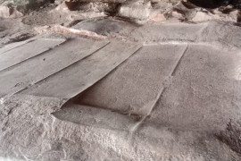 gallery - one-day-feild-work-for-tamil-department-students- - 11