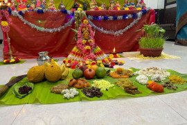 gallery - navaratri-golu-celebration - 13